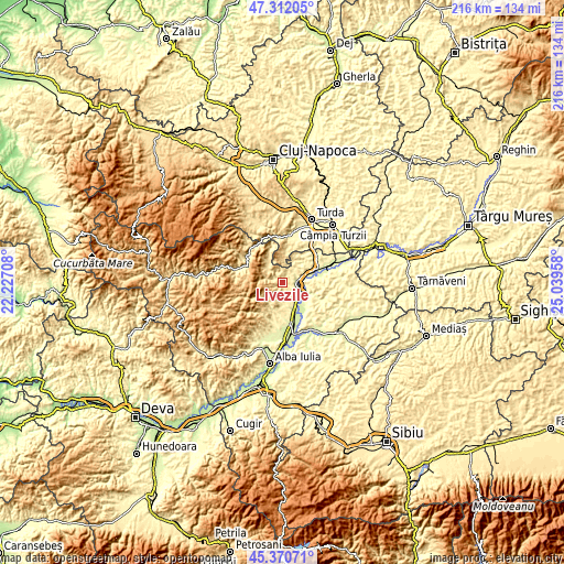 Topographic map of Livezile