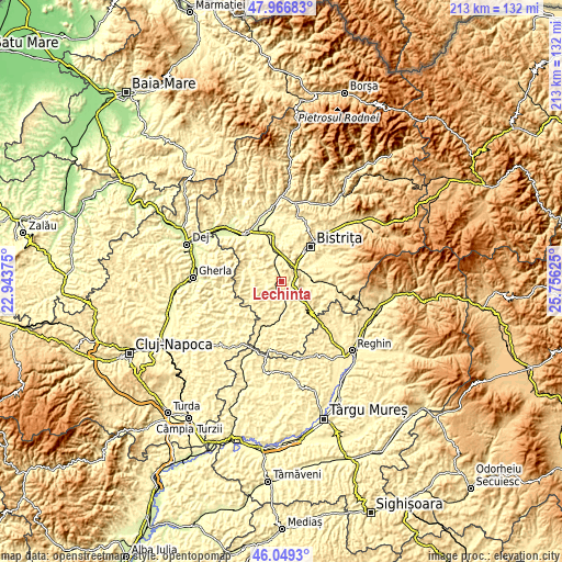 Topographic map of Lechinţa