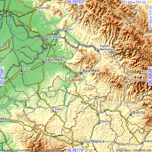 Topographic map of Lăpușel