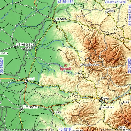 Topographic map of Igneşti