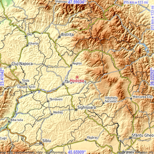 Topographic map of Hodoşa