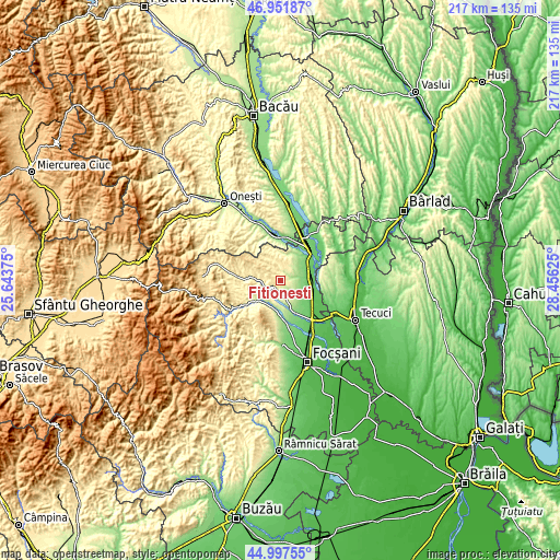 Topographic map of Fitioneşti