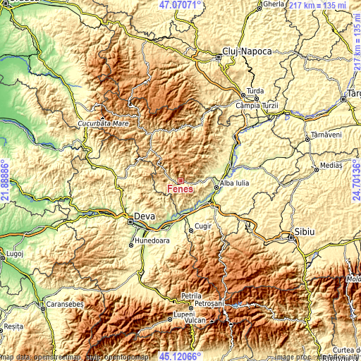 Topographic map of Feneș