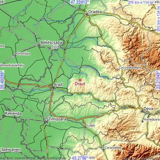 Topographic map of Drauț