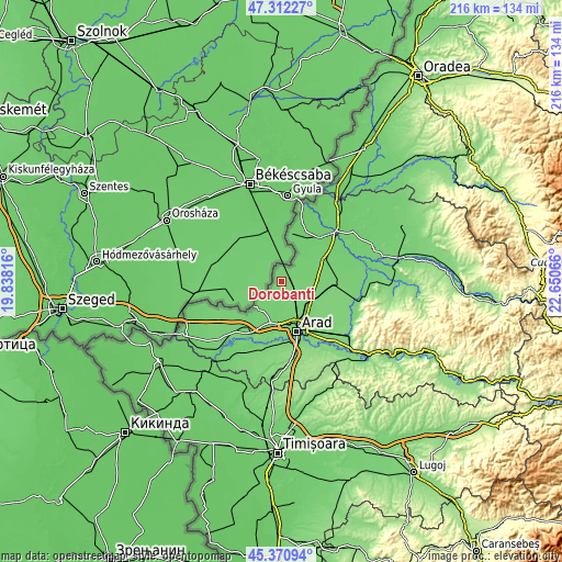 Topographic map of Dorobanți