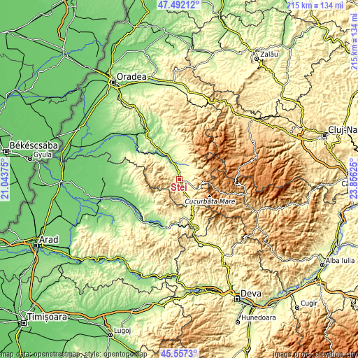 Topographic map of Ștei