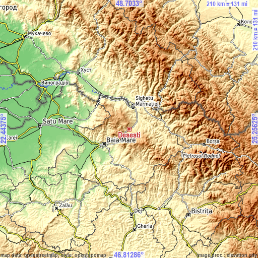 Topographic map of Deseşti