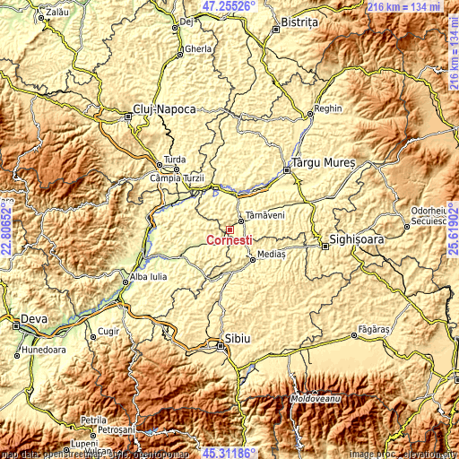 Topographic map of Cornești