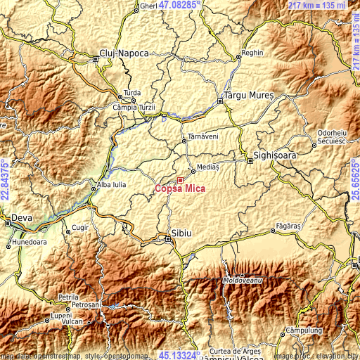Topographic map of Copşa Mică