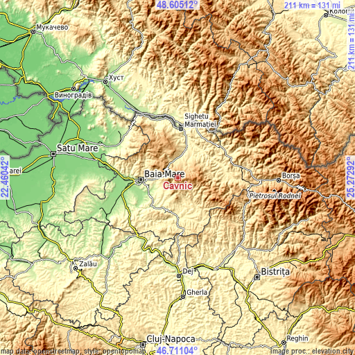 Topographic map of Cavnic