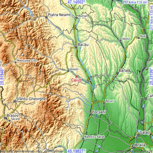 Topographic map of Căiuți