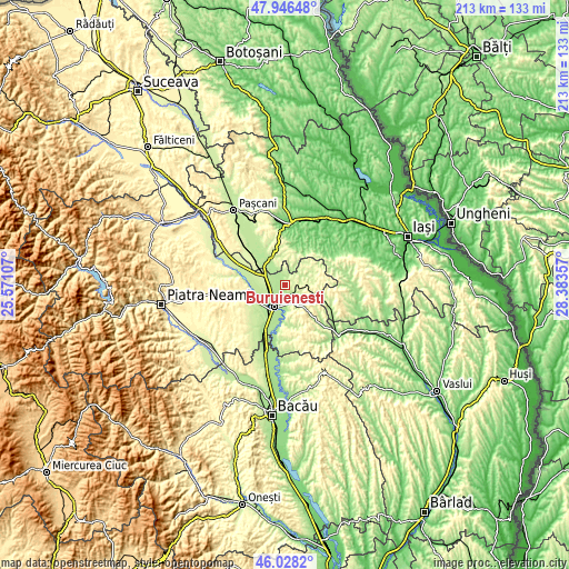 Topographic map of Buruienești