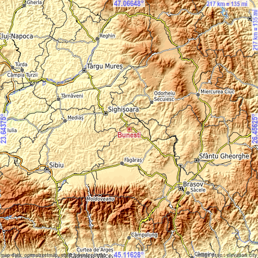 Topographic map of Buneşti