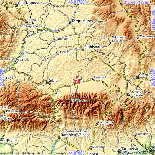 Topographic map of Bruiu