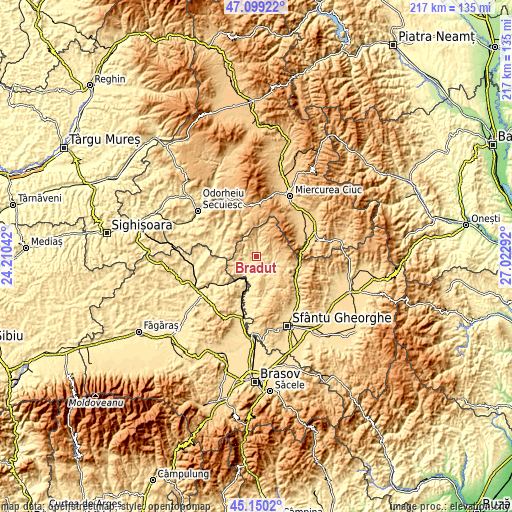 Topographic map of Brăduţ