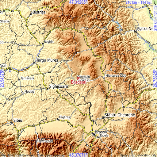 Topographic map of Brădeşti
