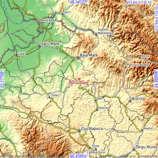 Topographic map of Boiu Mare