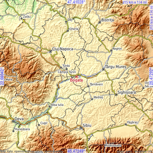 Topographic map of Bogata