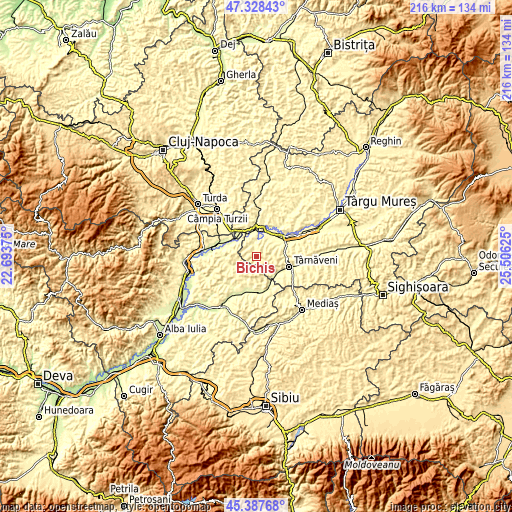 Topographic map of Bichiş