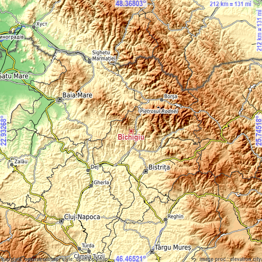 Topographic map of Bichigiu