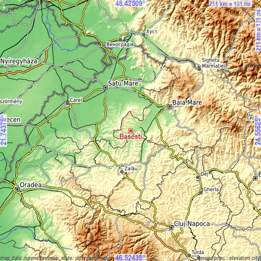 Topographic map of Băseşti