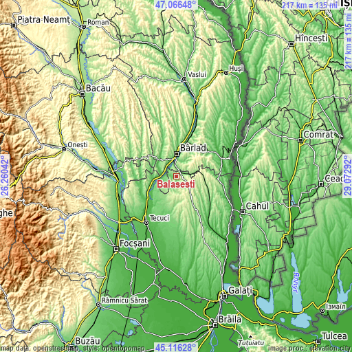 Topographic map of Bălăşeşti