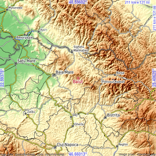 Topographic map of Băiuţ