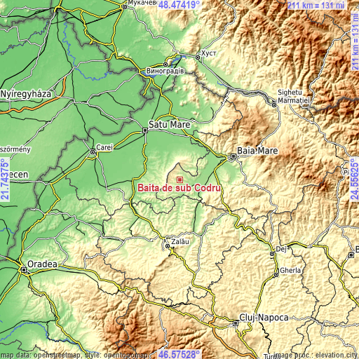 Topographic map of Băiţa de sub Codru