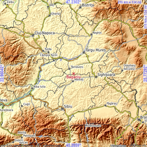 Topographic map of Băgaciu