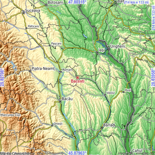 Topographic map of Băceşti