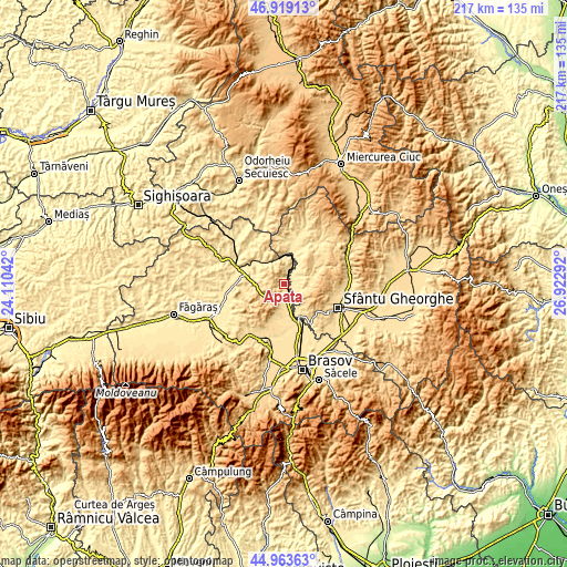 Topographic map of Apaţa