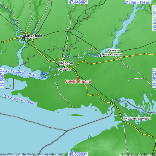 Topographic map of Velyki Kopani