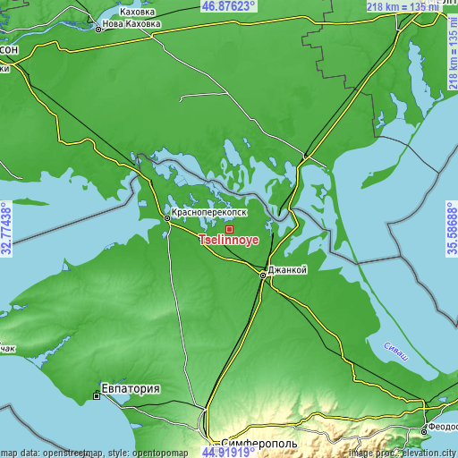 Topographic map of Tselinnoye