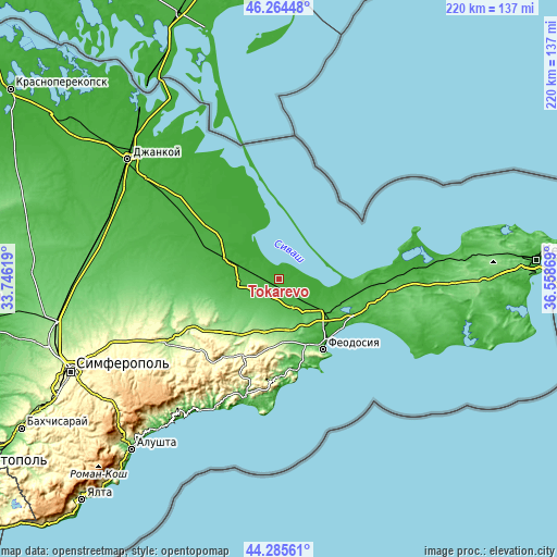 Topographic map of Tokarevo