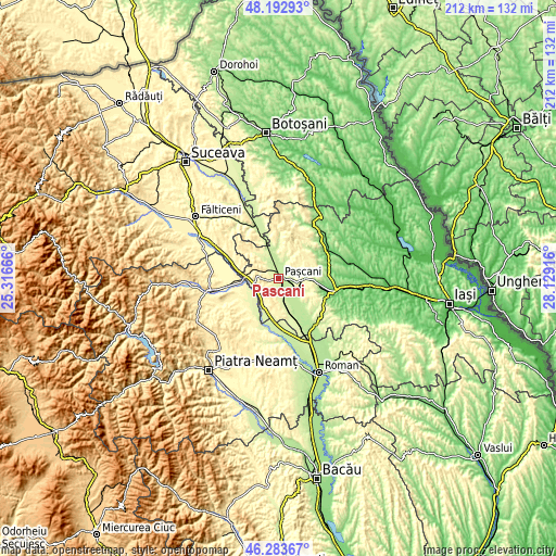 Topographic map of Paşcani