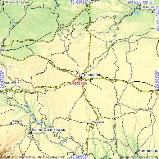 Topographic map of Petrikov