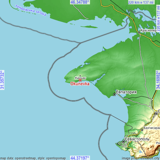 Topographic map of Okunevka