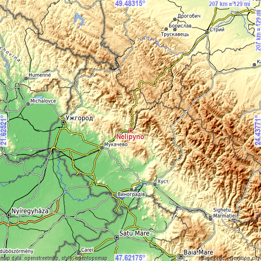 Topographic map of Nelipyno