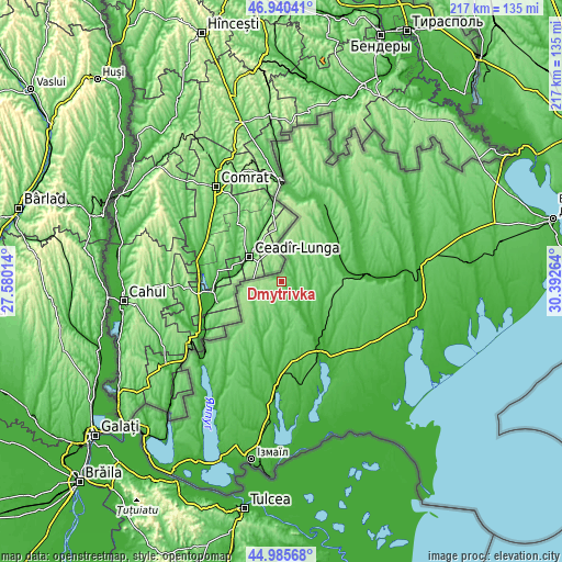 Topographic map of Dmytrivka