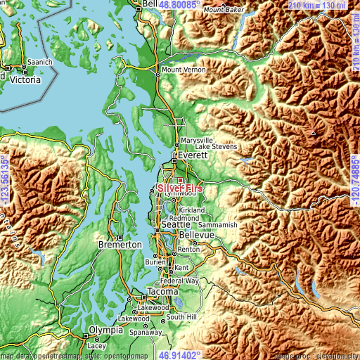 Topographic map of Silver Firs