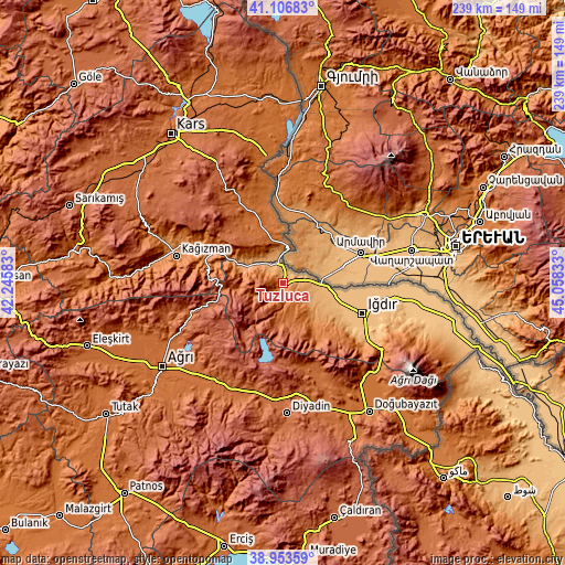 Topographic map of Tuzluca