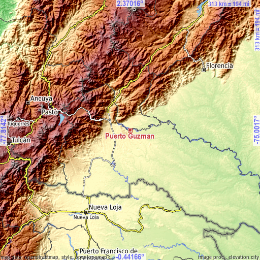 Topographic map of Puerto Guzmán