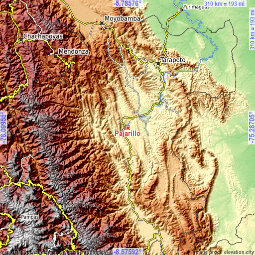 Topographic map of Pajarillo