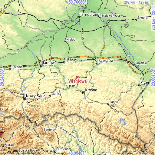 Topographic map of Wiśniowa