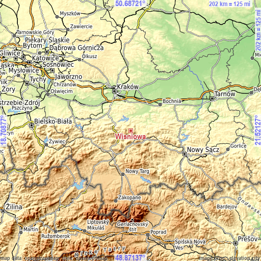 Topographic map of Wiśniowa