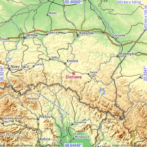 Topographic map of Sieniawa