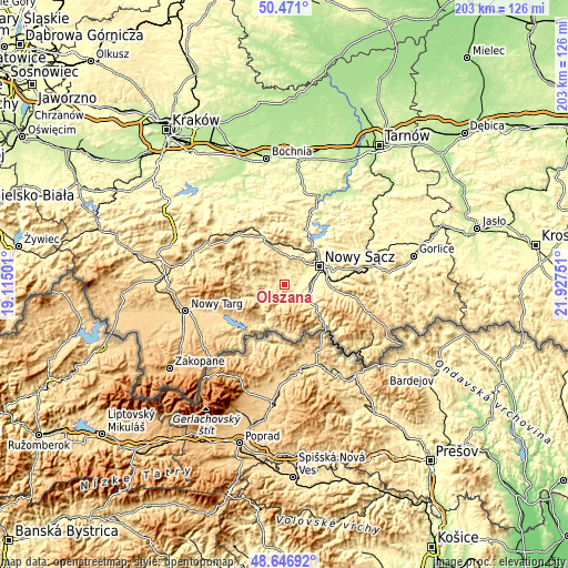 Topographic map of Olszana