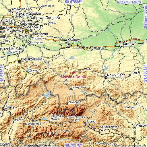 Topographic map of Mszana Dolna