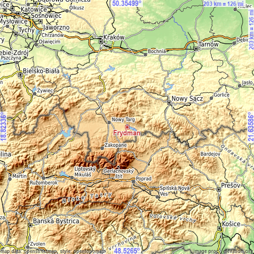 Topographic map of Frydman