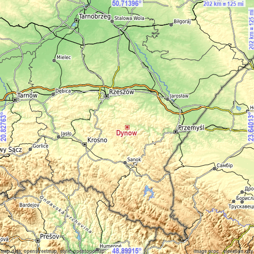 Topographic map of Dynów